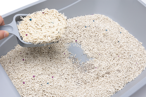 ŻWIREK TOFU z bentonitem zbrylający dla kota mix mleczny 2,5kg SNAPPY na Arena.pl