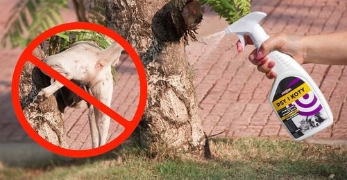 NATURALNY SPRAY ZNIECHĘCAJĄCY KOTY ODSTRASZACZ KOTÓW I PSÓW STRONG 500 na Arena.pl