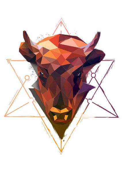 Żubr - plakat 21x29,7 cm zdjęcie 1