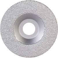 TARCZA DIAMENTOWA VDG PRO DO OBRÓBKI ZGRUBNEJ 100MM - RI 31979