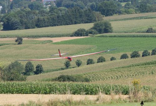 Staufenbiel Epsilon XL3 ARF na Arena.pl