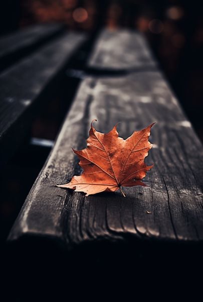 Plakat 61x90,5cm Pojedynczy Liść zdjęcie 1