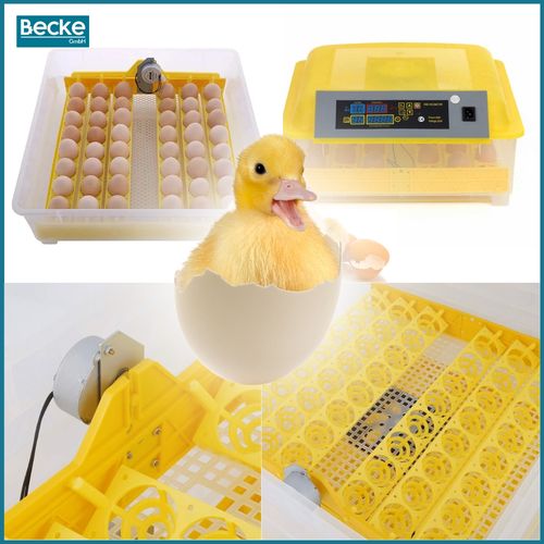 Inkubator wylęgarka klujnik automatyczny do wylęgu drobiu hodowla 48 jajek na Arena.pl