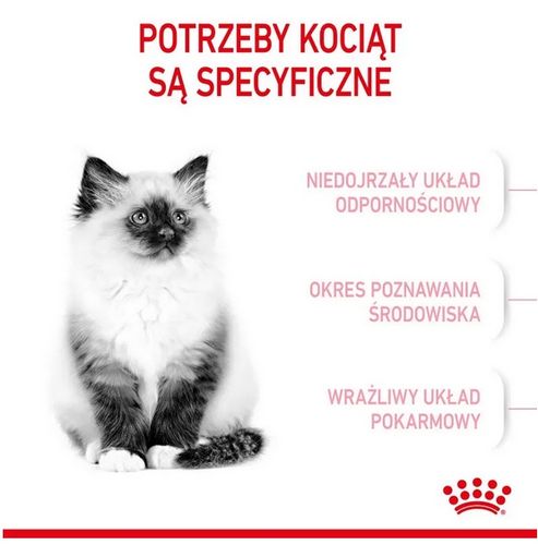 Royal Canin Kitten Karma Sucha Dla Kociąt Od 4 Do 12 Miesiąca Życia 400G na Arena.pl