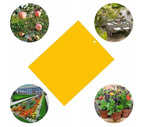 Żółte tablice lepowe na ziemiórki 10 szt. Dwustronny Lep, Biodegradowalne na Arena.pl