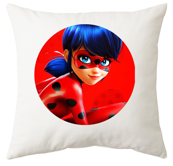 Poduszka Biedronka i Czarny Kot zdjęcie 1