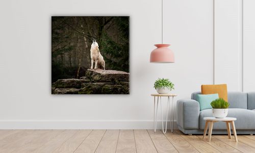 OBRAZ NA PŁÓTNIE 111 Wycie wilka 50x50cm na Arena.pl