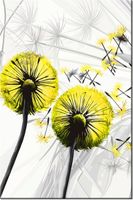 product-compare-58703827