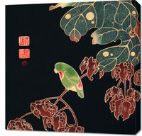 Obraz 70x70cm The Paroquet, Jakuchu Japoński Vintage