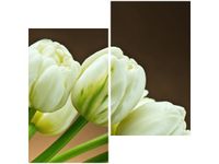 60X60CM BIAŁE TULIPANY DWU OBRAZ ŚCIAN