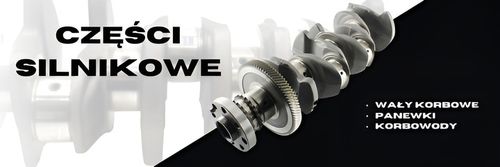 Paski pomiarowe luzu silnika Plastic Gauge 10szt KS KOLBENSHMIDT ORYGINAŁ na Arena.pl