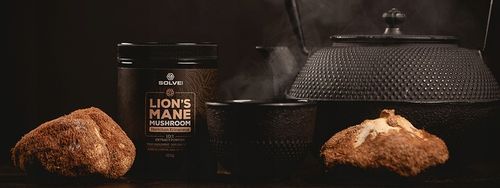 LIONS MANE 10:1 SOPLÓWKA JEŻOWATA 100G SOLVE LABS na Arena.pl