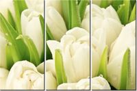 60 90CM OBRAZ 3 ELEM DELIKATNE TULIPANY DRUK PŁÓTNO RAMA