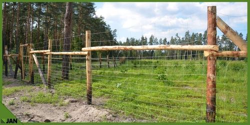 SIATKA LEŚNA ogrodzeniowa wys 200/17/15 L 50m BUDOWLANA grats łosie SARNY na Arena.pl