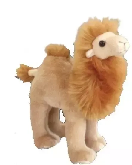 Wielbłąd stojący zdjęcie 1