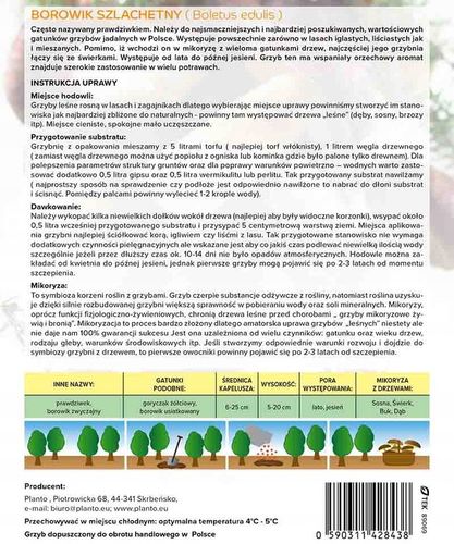 Grzybnia Borowik Szlachetny – Mikoryza, Grzyby do Ogrodu na Arena.pl