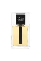 tester dior homme 2020 edt 100ml