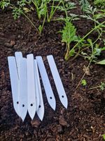 Znaczniki etykiety do opisu roślin PL producent 1,3 x 11 cm 400 szt.