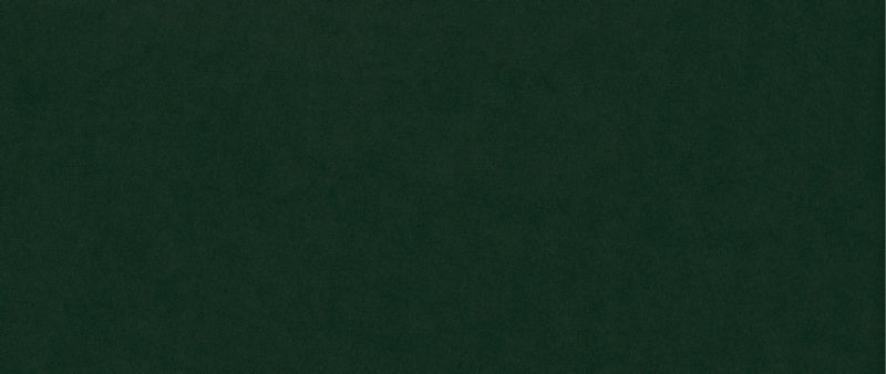 Sofa BELIS - zielony / R38 z automatem DL zdjęcie 6