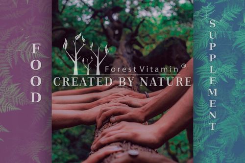 ENZYMY TRAWIENNE COMPLEX DIGEZYME 100 kaps LAKTAZA MOCNE na Arena.pl