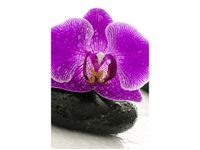 40X60CM STORCZYK KAMIENIU OBRAZ