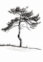 product-compare-59418096