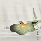 Plakat 50x50cm Frog on Lotus Leaf, Koson Japoński Vintage do Salonu