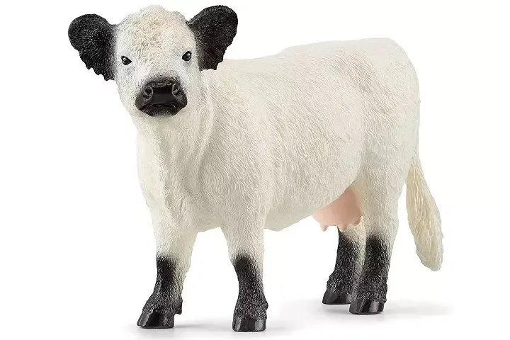 Figurka krowa rasy Galloway zdjęcie 1