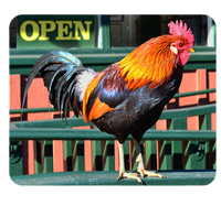 Podkładka pod myszkę Kury