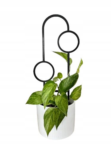 Podpora do Roślin Pnączy Podpórka Kwiatów Pnących Pergola Drabinka 38 na Arena.pl