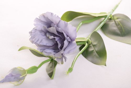 Eustoma szarostalowa na Arena.pl