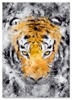 Plakat tygrys abstrakcja 30x40 cm