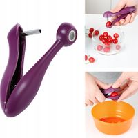 Drylownica Do Usuwania Pestek TSG-519 Wydrążacz do Wiśni i Oliwek