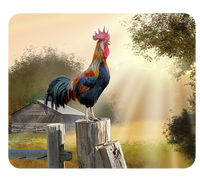 Podkładka pod myszkę Kury