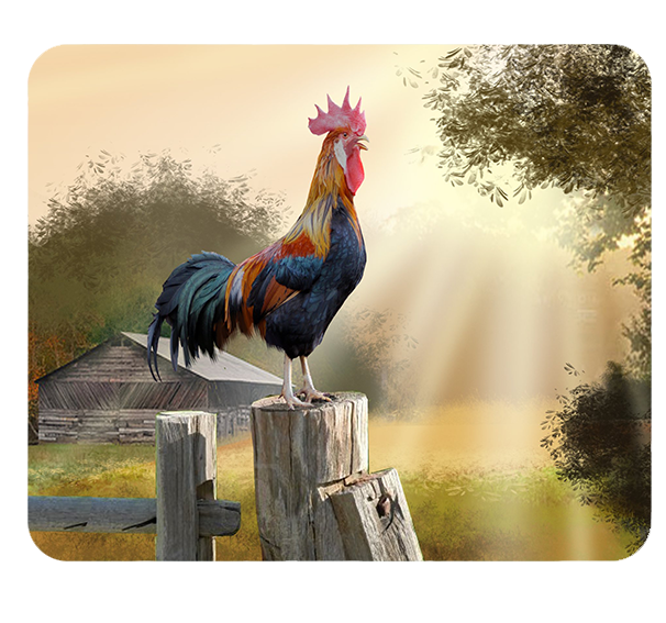 Podkładka pod myszkę Kury zdjęcie 1