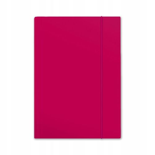 Teczka Penmate Z Gumką A4 Plus Top Różowa A"10 na Arena.pl