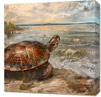 product-compare-59510361