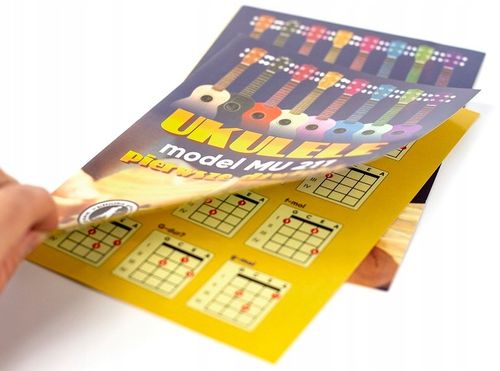 UKULELE SOPRANOWE +POKROWIEC+ KOSTKI+ TABELA na Arena.pl