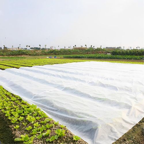 Agrotkanina okryciowa biała 3,2x10m 50g na Arena.pl