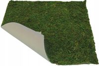 Wysuszony MECH NATURALNY na płycie ARKUSZ do dekoracji Szopki - 40 x 90cm
