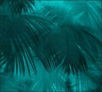 Tło do fotografii produktowej kulinarnej Flat Lay