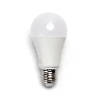 Żarówka LED A67 E27 20W 2100lm ciepła do salonu energooszczędna