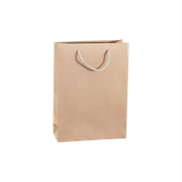 Torba papierowa , 24 x 9 x 33 cm, 20 szt. Kraftlux eko beżowa AWIH