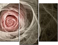 product-compare-58673052