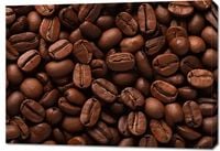 Obraz 100x70cm Esencja Aromatu