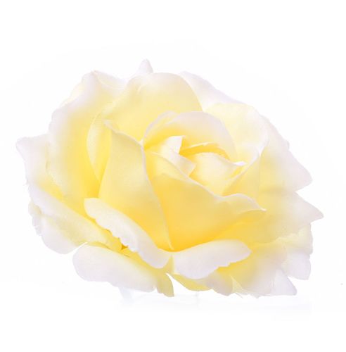 Róża główka na Arena.pl