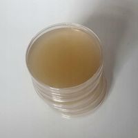 Cordyceps militaris - grzybnia w płynie 10ml