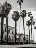 Plakat 60x80cm Spacer w Cieniu Palm