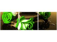 90X30CM WENGE LIMONKA TRÓJ OBRAZ