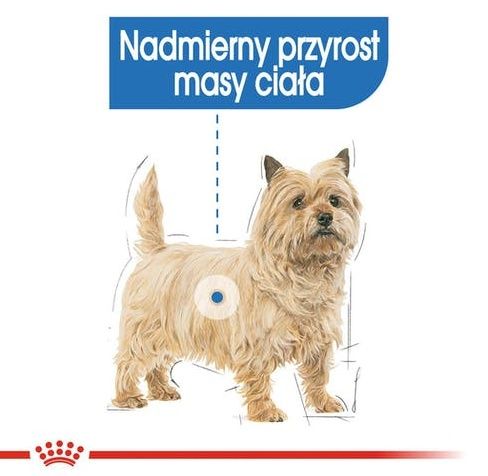 Royal Canin Light Weight Care Karma Mokra Dla Psów Dorosłych, Wszystkich na Arena.pl